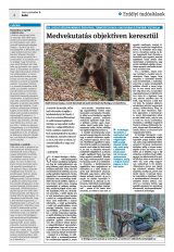 Krónika XXIV. évfolyam, 213. szám