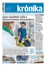 Krónika XXIV. évfolyam, 228. szám