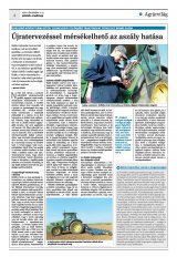 Krónika XXIV. évfolyam, 229. szám