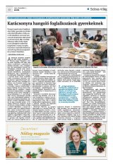 Krónika XXIV. évfolyam, 232. szám