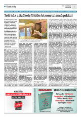 Krónika XXIV. évfolyam, 233. szám