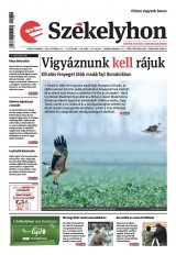 IV. évfolyam, 234. szám