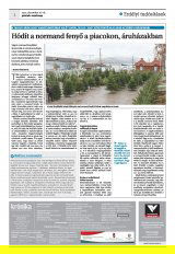 Krónika XXIV. évfolyam, 239. szám