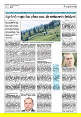 Krónika XXIV. évfolyam, 240. szám