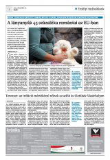 Krónika XXIV. évfolyam, 241. szám