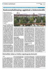 Krónika XXIV. évfolyam, 241. szám