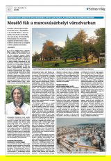 Krónika XXIV. évfolyam, 242. szám
