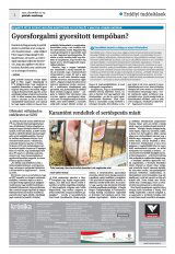 Krónika XXIV. évfolyam, 244. szám