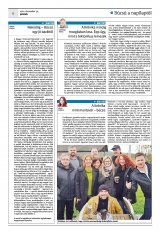 Krónika XXIV. évfolyam, 247. szám