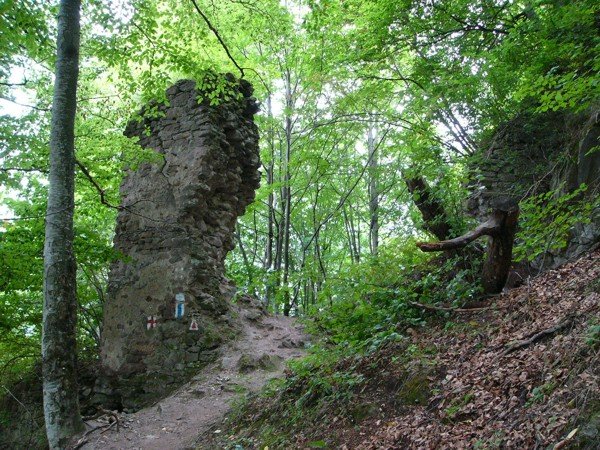 A turistaösvény várfaltöredékek között vezet •  Fotó: Demján László