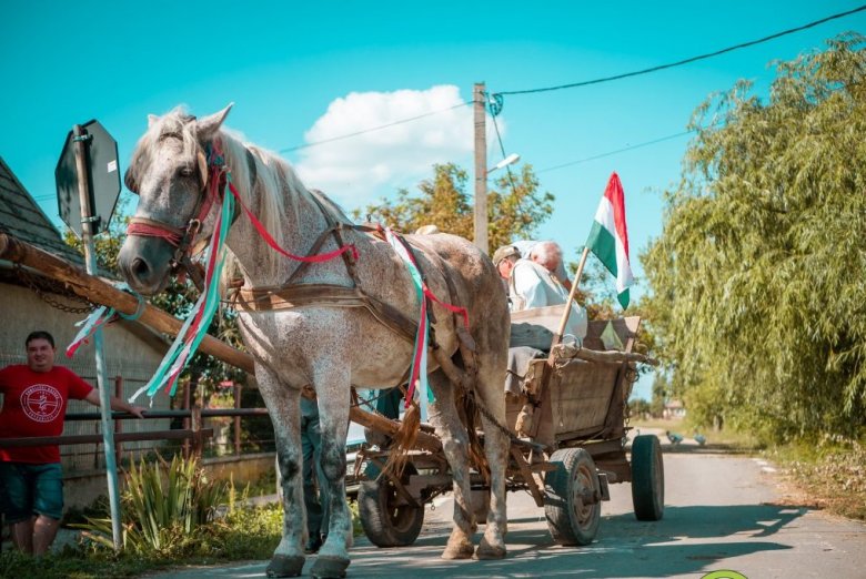 A Partiumi falvakban gyűjtik a gazdáktól a magyarok kenyeréhez szükséges búzaadományokat •  Fotó: Sütő Éva