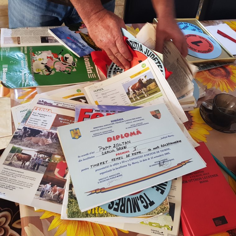 Ötven kitüntetést kapott tehénállomány