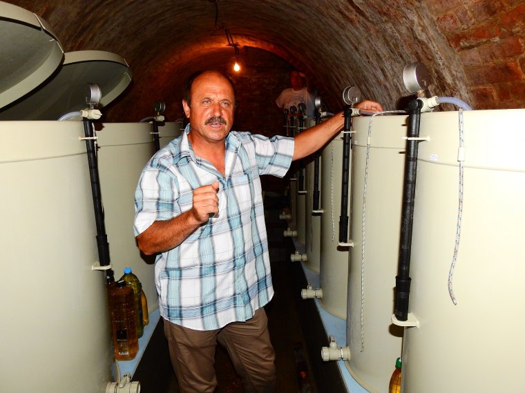 Érmelléki bor a kínai császár asztalán – egyre kedveltebbek az Érmihályfalva környéki szőlősgazdák borai