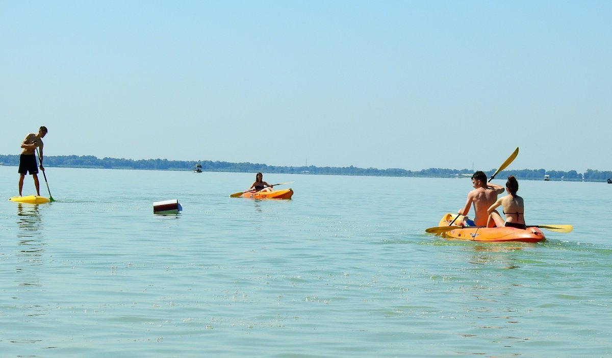 Déli evezés. Van, amikor türkörsíma a Balaton vize •  Fotó: Makkay József