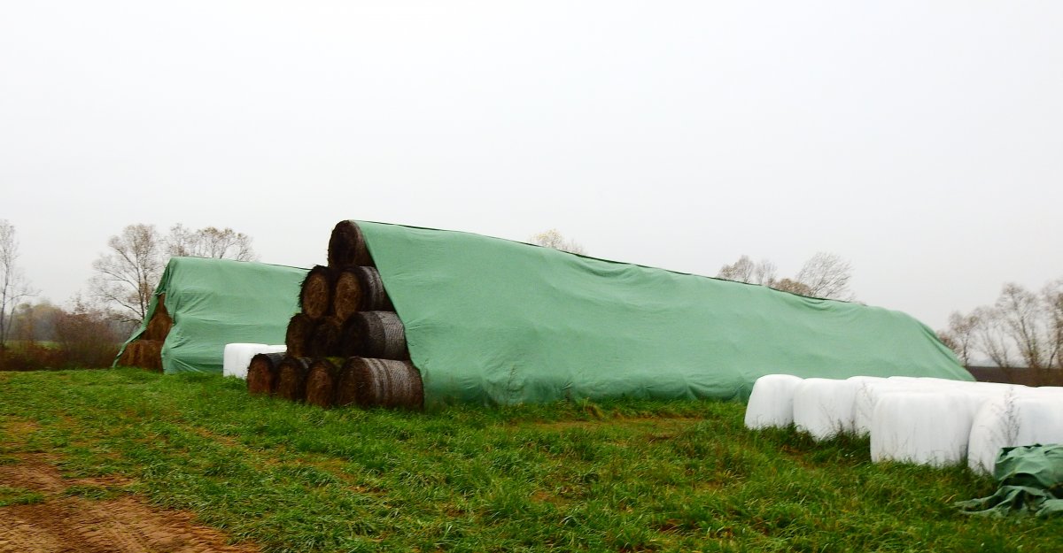 Takarmánykazlak az állatfarmon. A faluban is követőkre talált az újfajta bálázási módszer •  Fotó: Makkay József