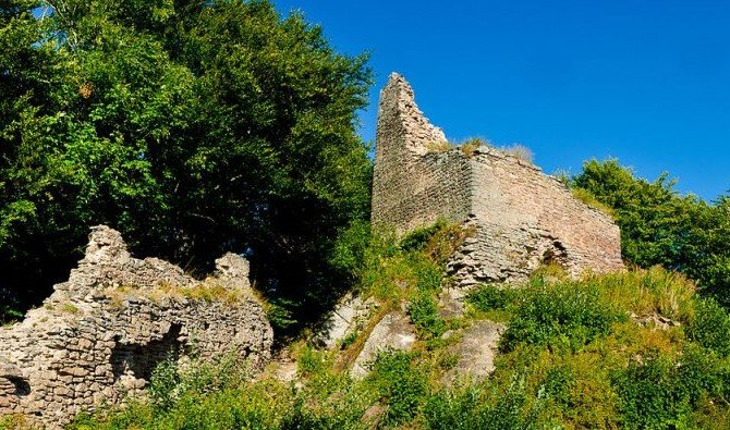Bokrokkal benőtt várromok • Fotó: Demján László