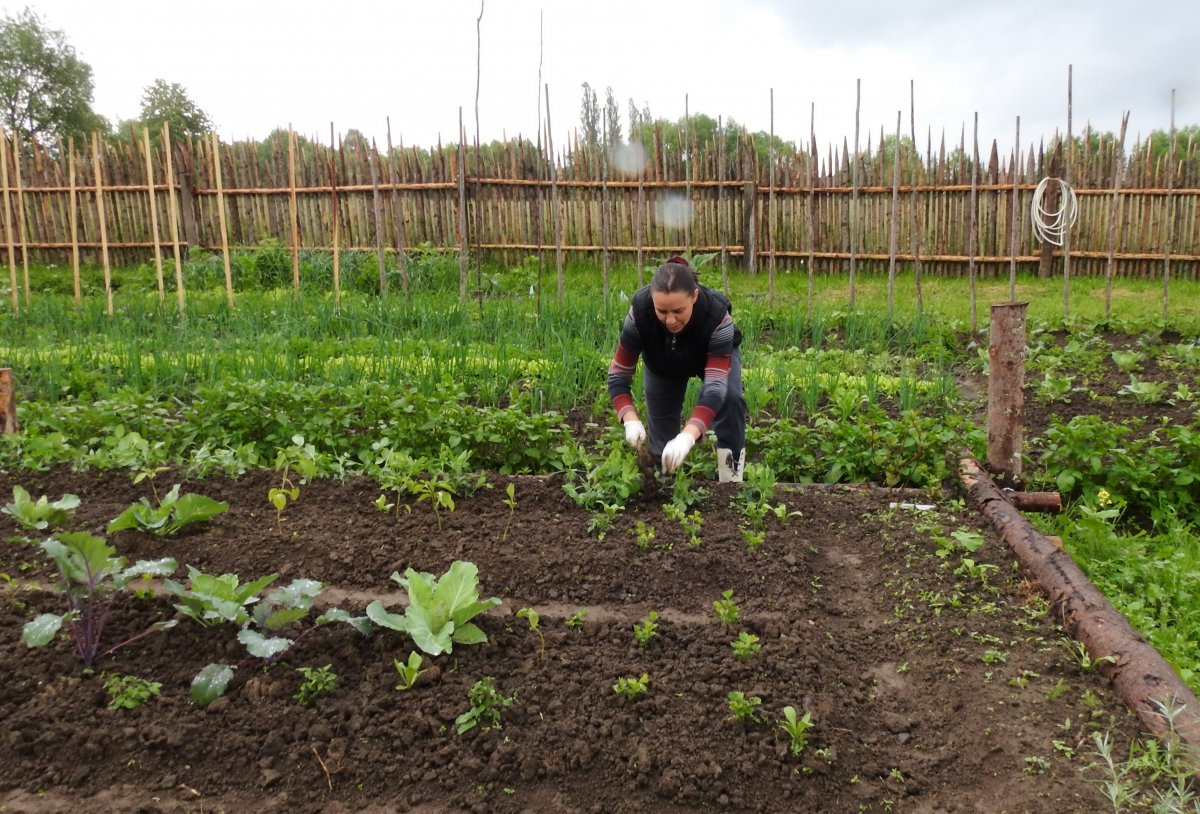 Bányász Emerencia kertészete. Ő is szívesen tart előadást a gazdálkodásról &bullet;  Fotó: Makkay József
