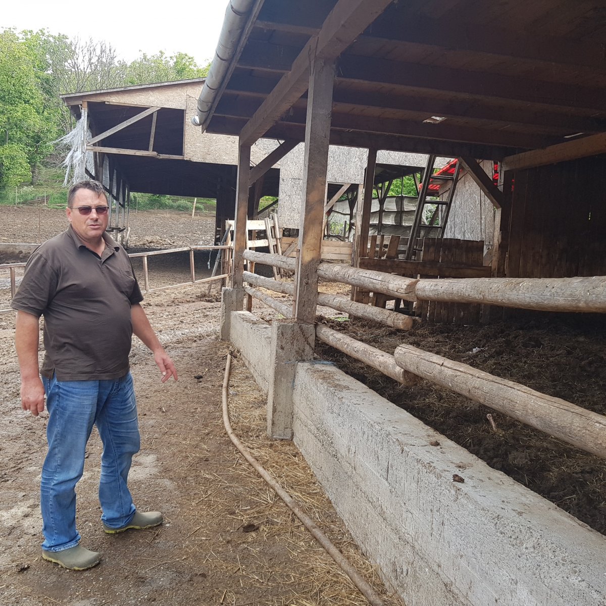 Papp Zoltán a karámot mutatja, ahova esténként bejönnek a tehenek &bullet;  Fotó: Makkay József