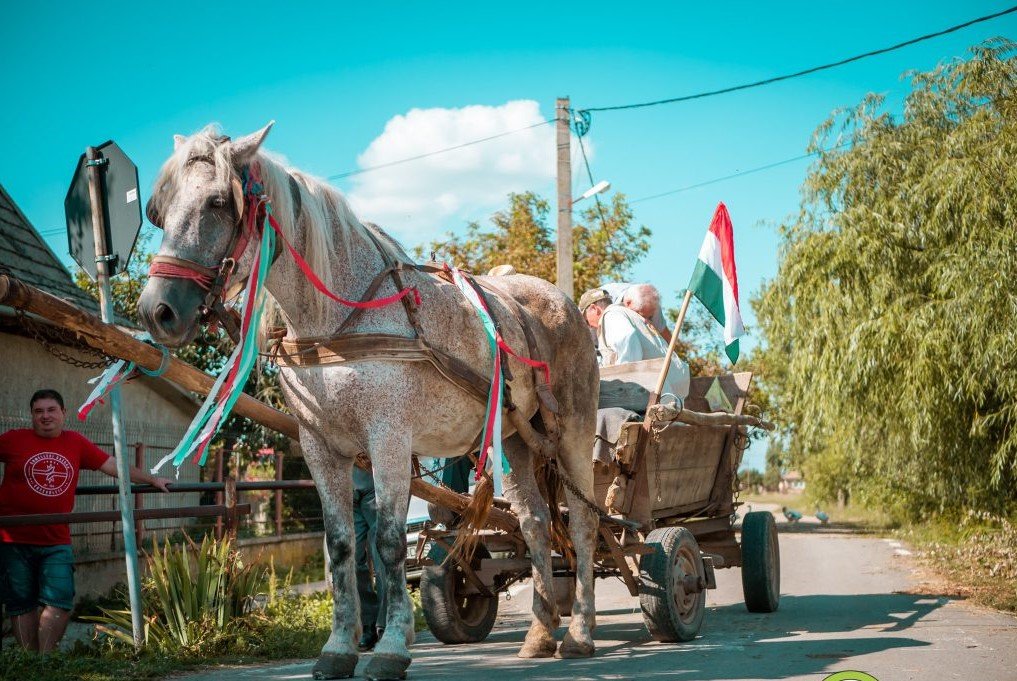 A Partiumi falvakban gyűjtik a gazdáktól a magyarok kenyeréhez szükséges búzaadományokat &bullet;  Fotó: Sütő Éva