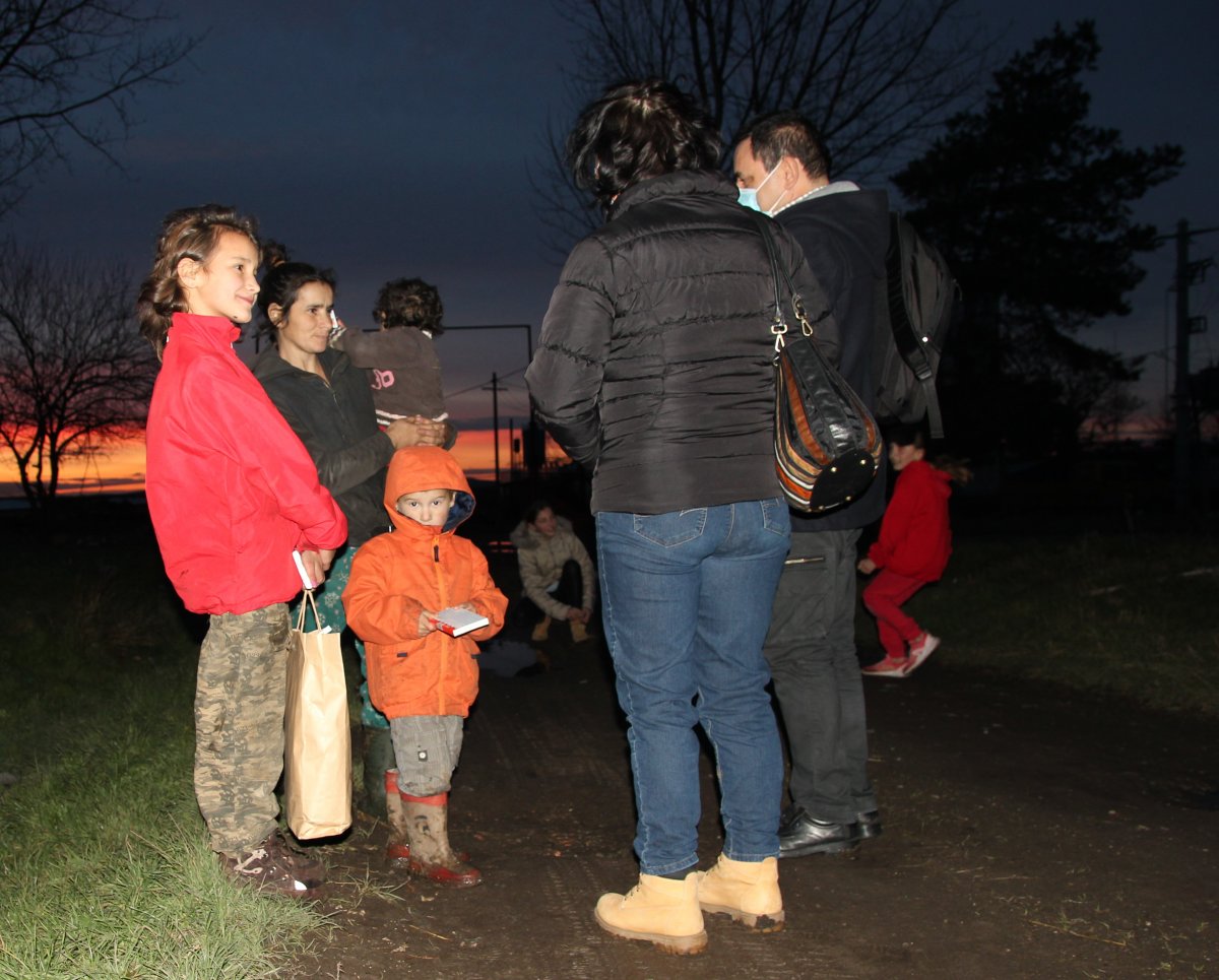Egy állatfarm nyomortelepének lakói között • Fotó: Jakab Mónika