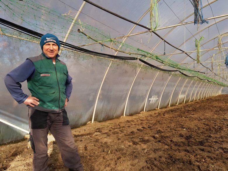 Molnár Dezső a fóliaházában. A faluban 15-20 gazda tart ki a korai termesztés mellett •  Fotó: Makkay József