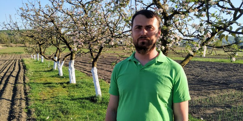 Kiss Miklós kertészmérnök makfalvi gyümölcsösében •  Fotó: Varga Dalma