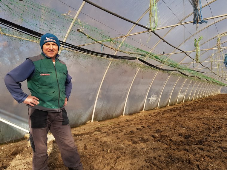 Indul a tavaszi primőrök idénye – Borson is egyre kevesebb gazda lát hozzá a tavaszi rajthoz