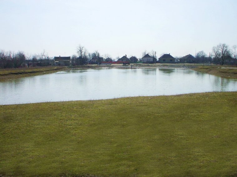 Számadó Ernő, a nád és a sásvidék krónikása