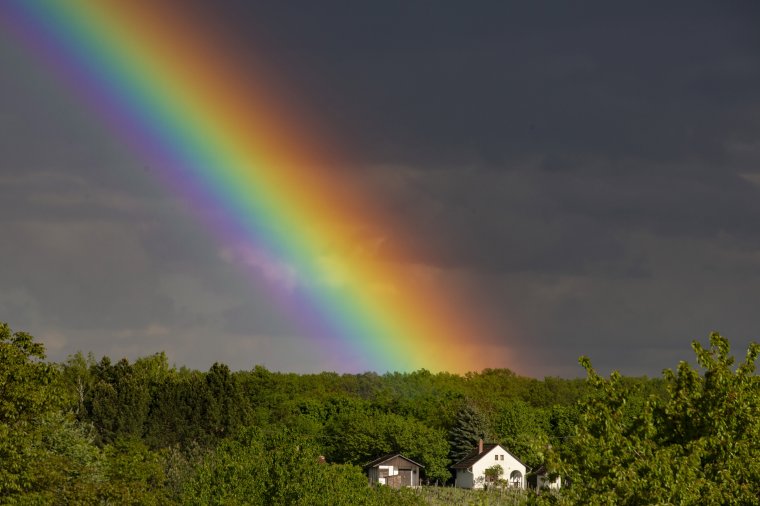 A megtisztulás időszaka, avagy a járvány jótékony hatásai