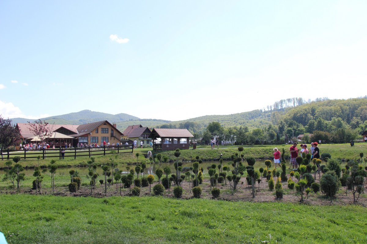 Dísznövénytermelés. A farmon a több lábon állásban hisznek &bullet;  Fotó: Jakab Mónika