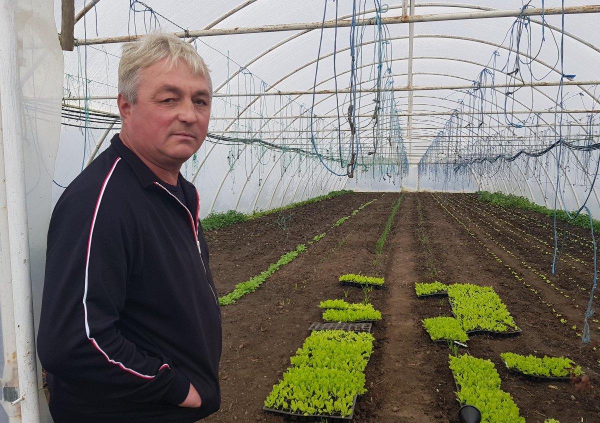 Darabont Attila szerint az ellenzékiséget vállalkozása is megsínylette &bullet;  Fotó: Makkay József