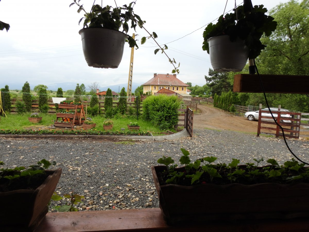 A háttérben a Kájoni János Gyermekotthon és a hozzá tartozó tágas udvar •  Fotó: Makkay József