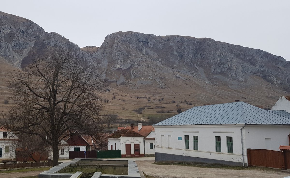 •  Fotó: Makkay József