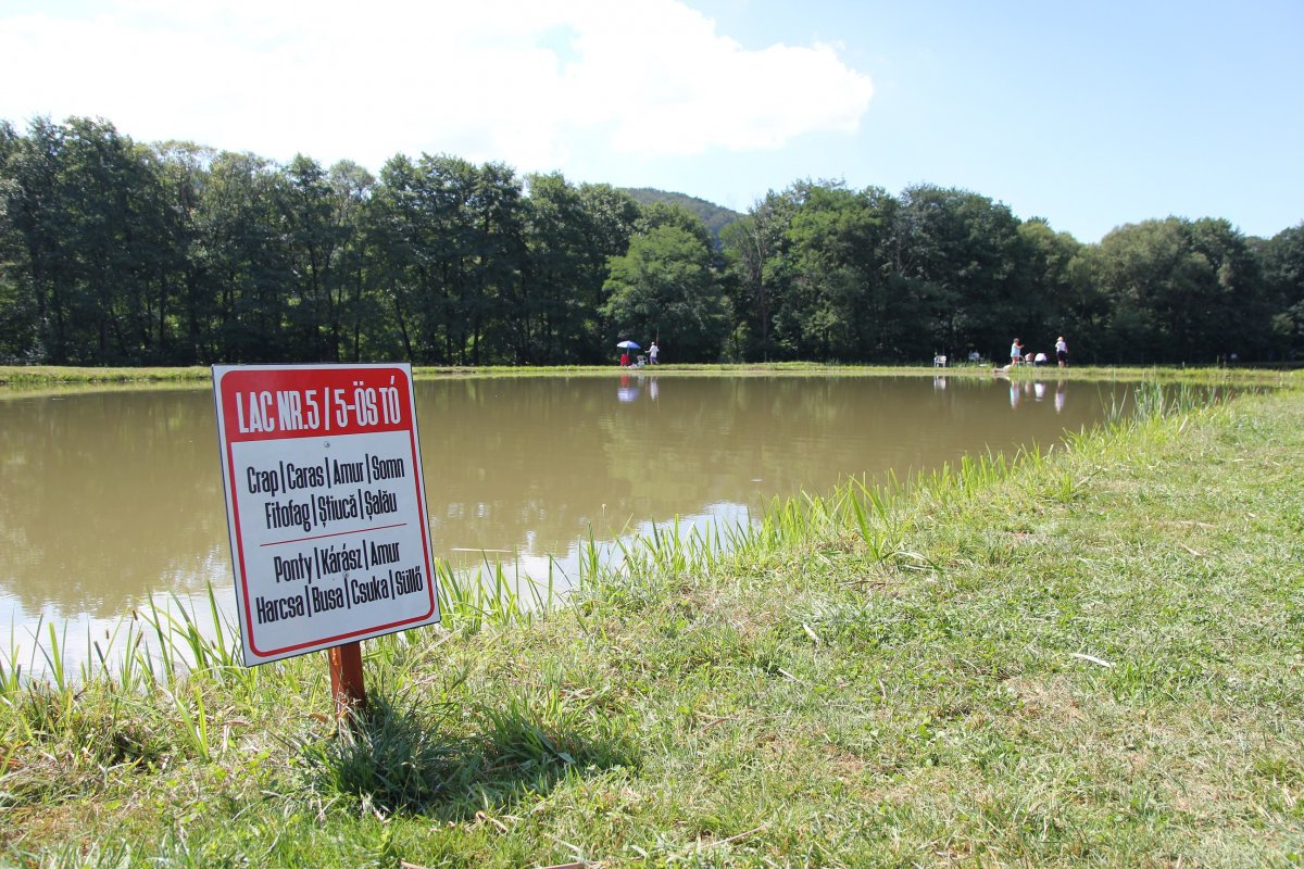 A pisztráng mellett  pontyra, kárászra,  harcsára, amurra és csukára is lehet horgászni &bullet;  Fotó: Jakab Mónika