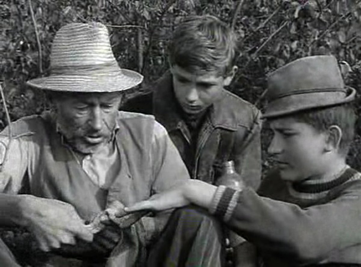 A Tüskevár című magyar televíziós sorozat egyik jelenete: Matula bácsi szerepében Bánhidi László &bullet;  Fotó: MTV/Archív