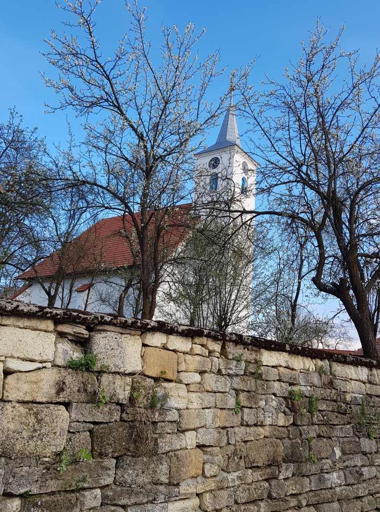A faluképet meghatározó kőkerítés mögött, a felújított kidei református templom, húsvét előtt •  Fotó: Makkay József