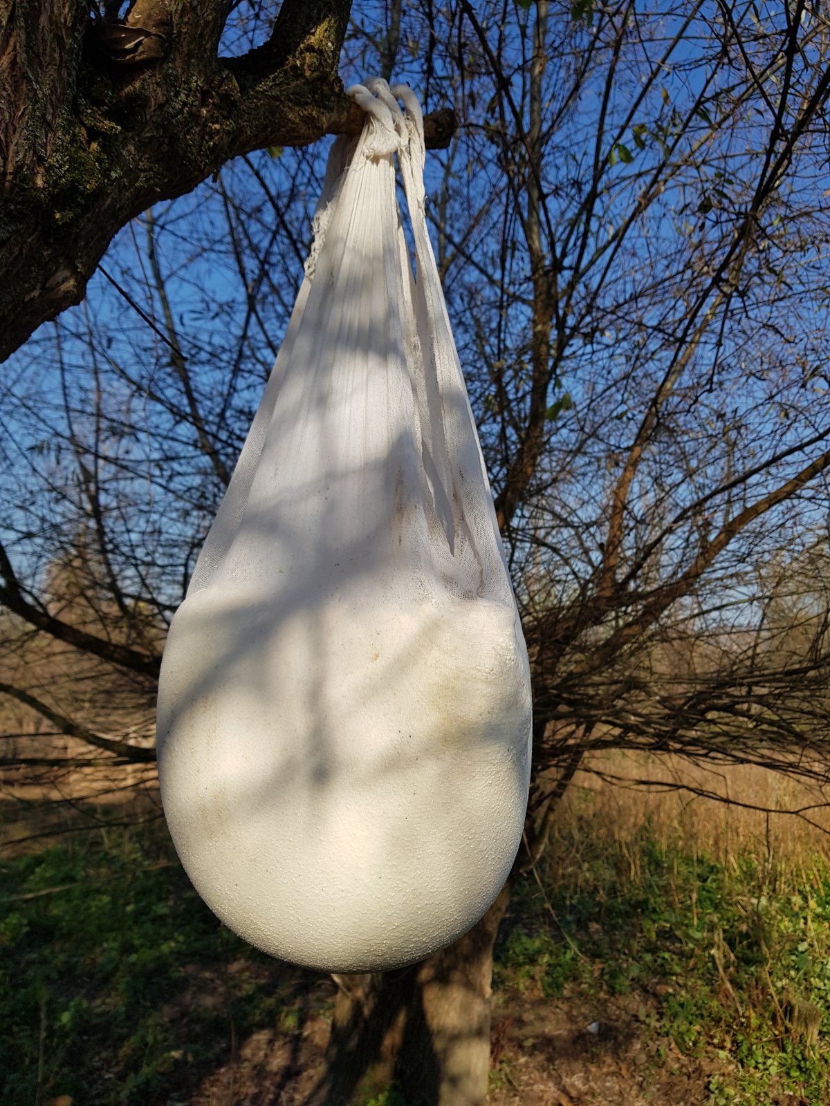 Szikkad a sajt. Ősszel jobban el lehet adni &bullet;  Fotó: Makkay József