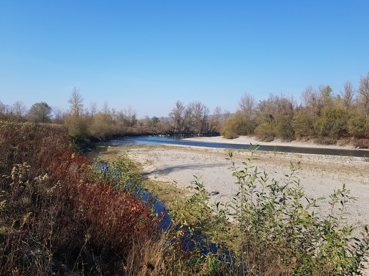 A Tisza Hosszúmező határában. Aki ismeri a járást, a gázlókon könnyűszerrel átjöhet a határfolyón •  Fotó: Makkay József