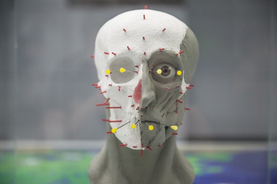 A halott koponyájáról készített gipszmásolatra felhelyezik az izmokat &bullet;  Fotó: Elit alakulat 2.0 kiállítás