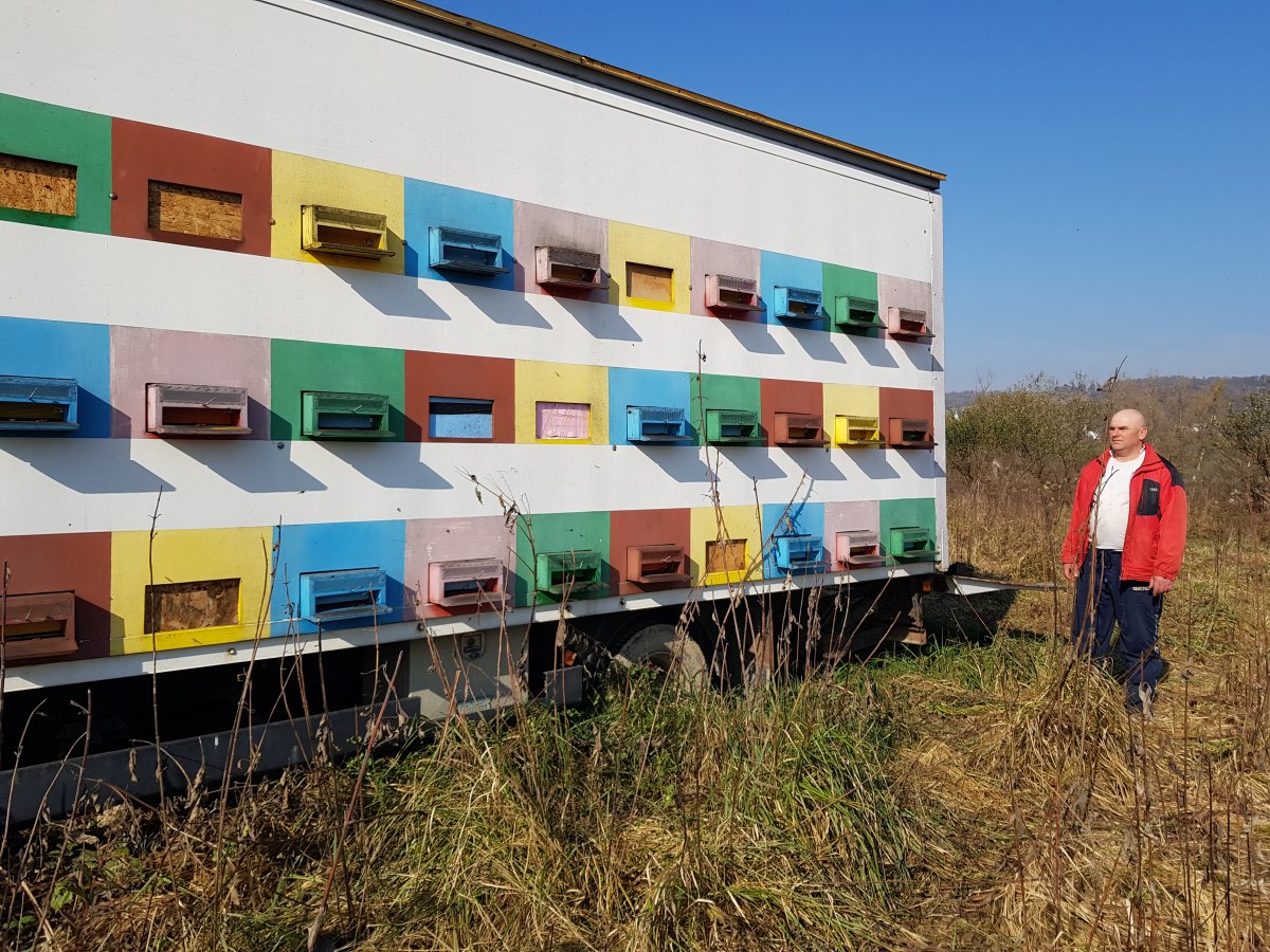 Varkola Tibor méhszállító kamionja. A gazda idén15 ezer eurós pályázatot nyert &bullet;  Fotó: Makkay József