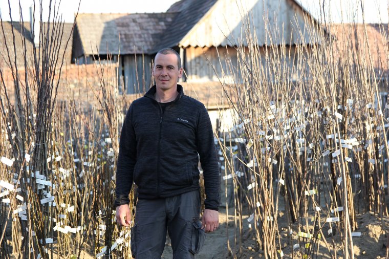 A hagyományos és modern fajtákat is kedvelik