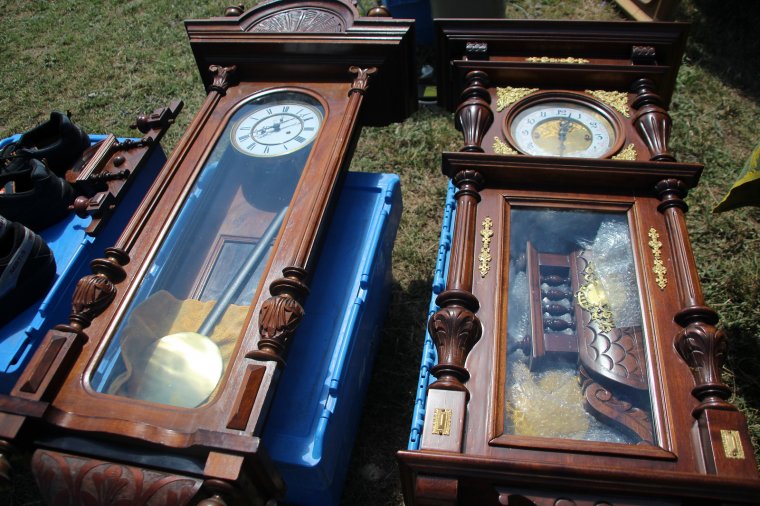 Kakukk Gazsi és egyéb cukiságok