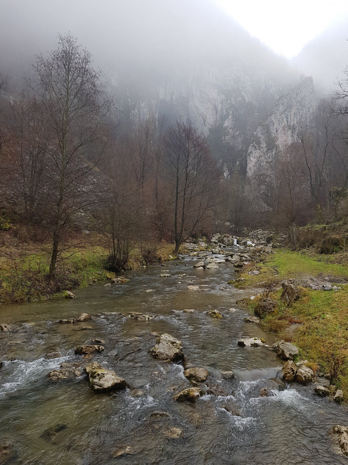 A megszelídült Szolcsva pataka, útban az Aranyos fele &bullet;  Fotó: Kisréti Zsombor