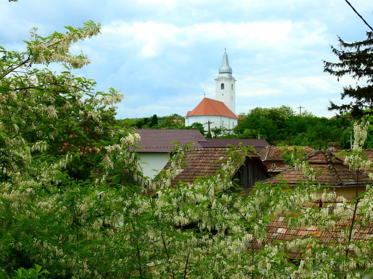 Bágyoni falukép az unitárius templommal •  Fotó: Makkay József
