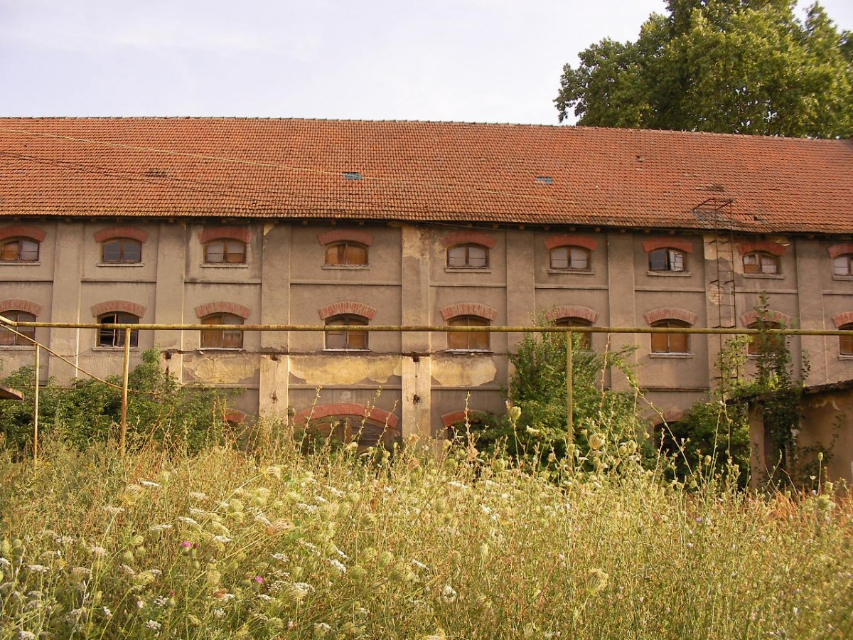 Az érmihályfalvi dohánybeváltó az 1800-as években épült. Sok nemzedéket szolgált ki •  Fotó: Sütő Éva