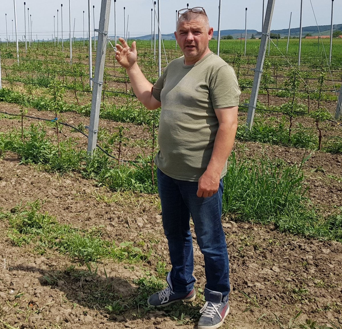Fazakas Miklós szerint az európai uniós agrártámogatási rendszer sok szempontból igazságtalan &bullet;  Fotó: Makkay József