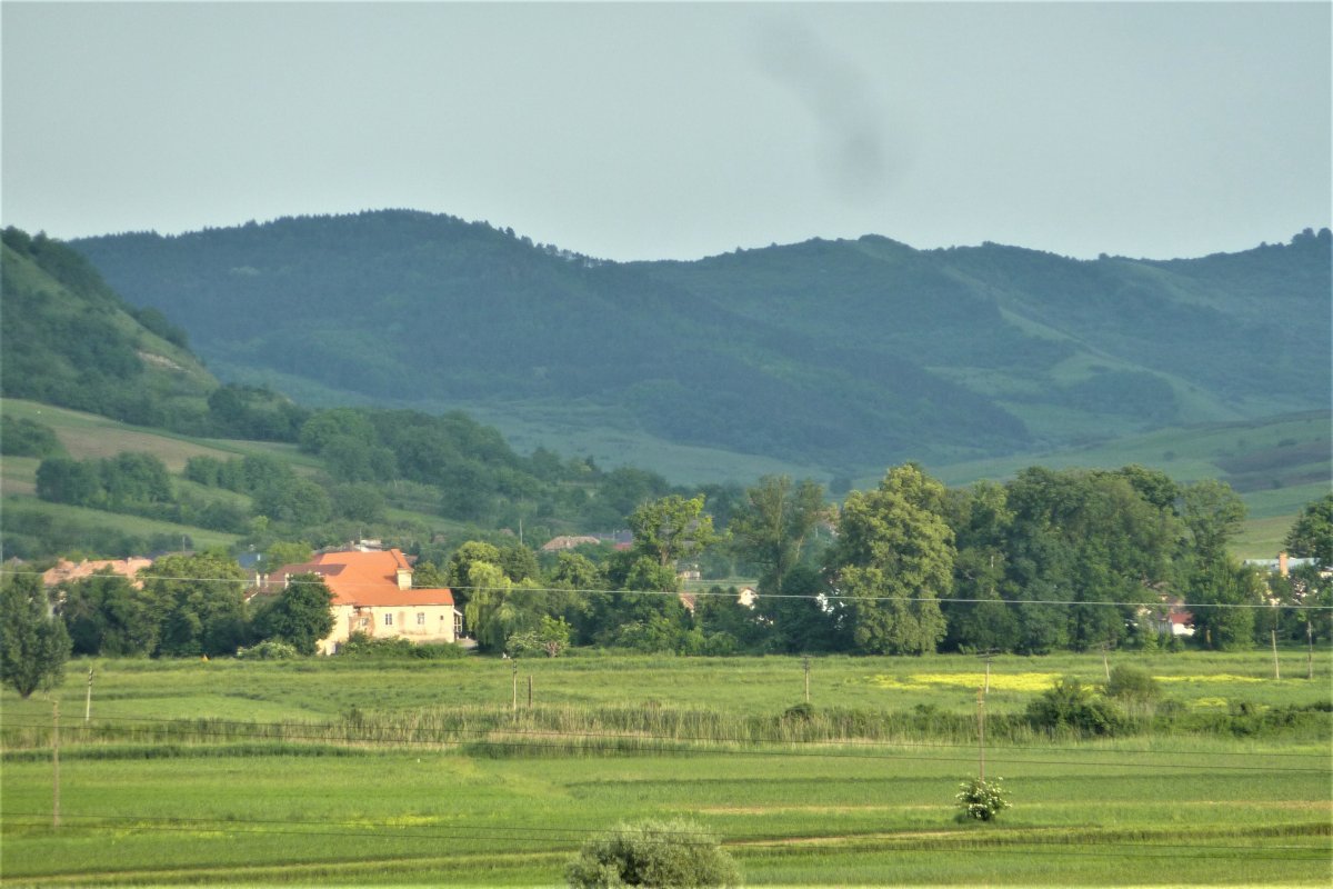 A bonyhai kastély Héderfája irányából •  Fotó: Demján László