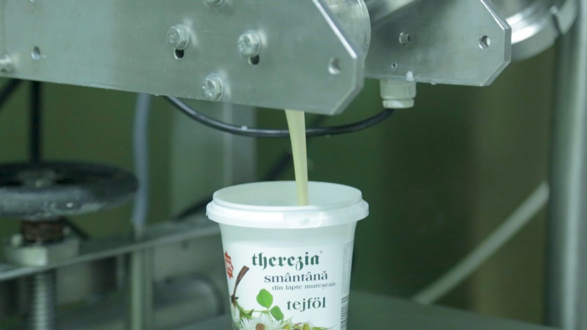 Tejföltöltő berendezés. A sajtok mellett ordát, tejfölt, vajat és telemeát is készítenek •  Fotó: Therezia Prodcom