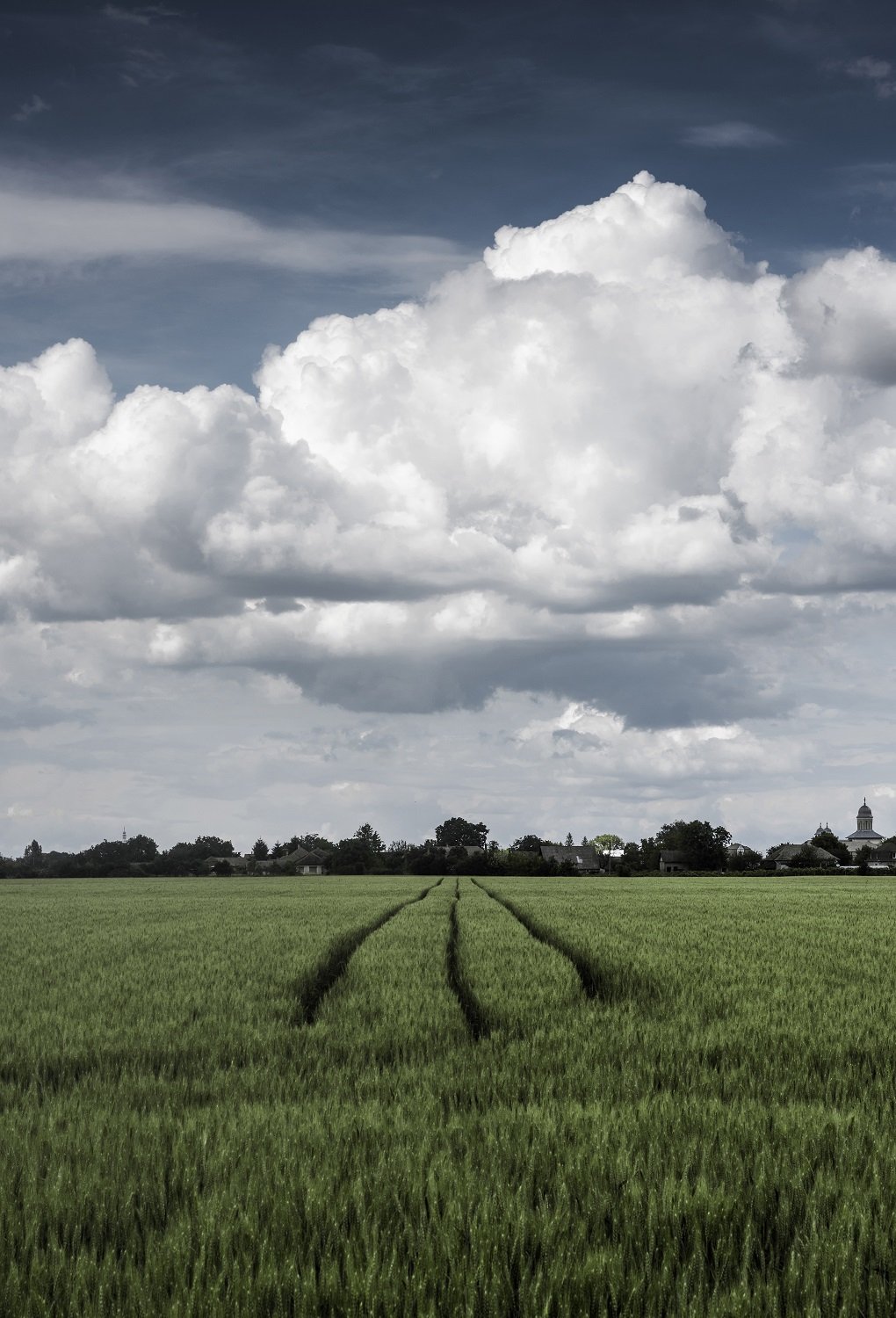 Mák Krisztián New Blue 2 című fotója a szabadság utáni vágyat tükrözi 