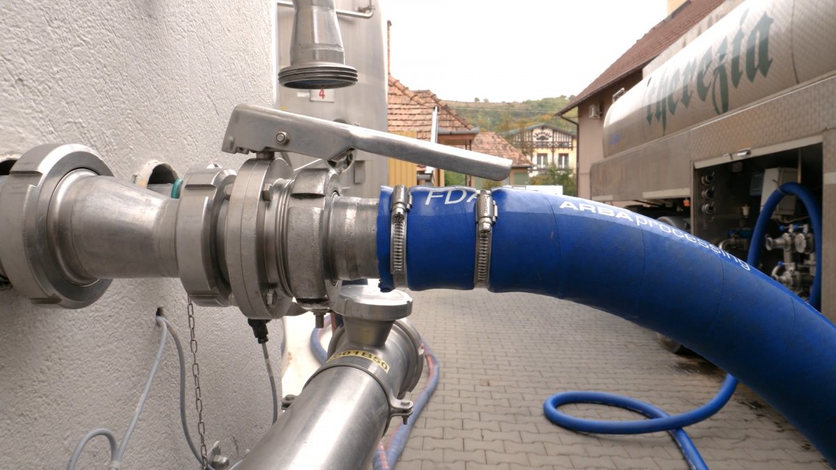 Maros-Mezőség mintegy ötven településéről érkezik meg napi rendszerességgel a tej a mezőpaniti gyárba •  Fotó: Therezia Prodcom